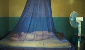 paradise_love_1_full