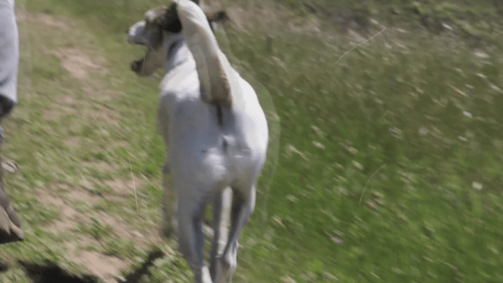 vlcsnap-2017-11-24-19h12m58s286